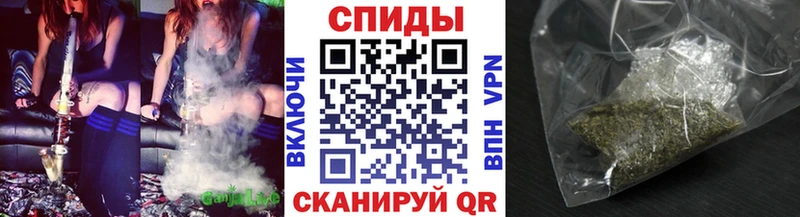 Бутират буратино Луга