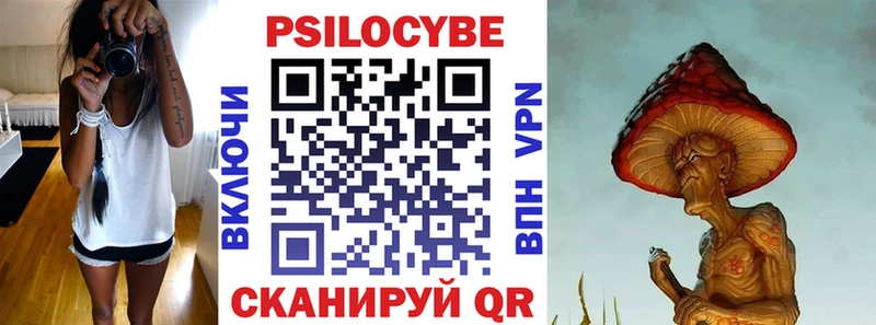 как найти   Луга  Псилоцибиновые грибы мицелий 